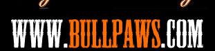 Bullpaws English Bulldog Studs