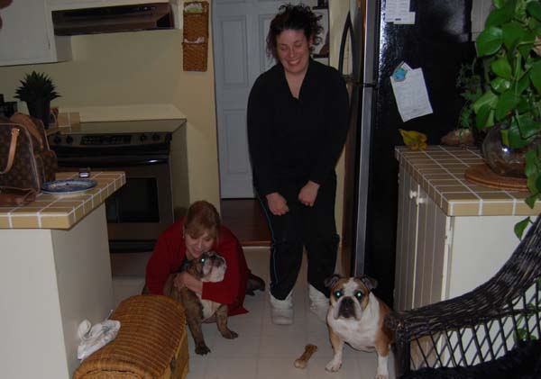 English Bulldog Bullpaws Hot Stepper resides in a family home